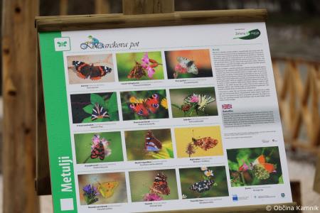 Z zasaditvijo dreves smo uradno odprli kolesarsko povezavo Kamnik–Godič (90)